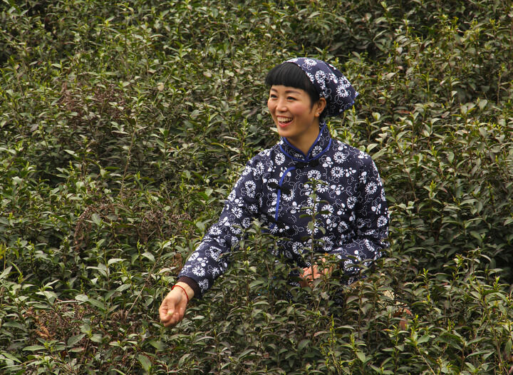 霓虹迷宫
